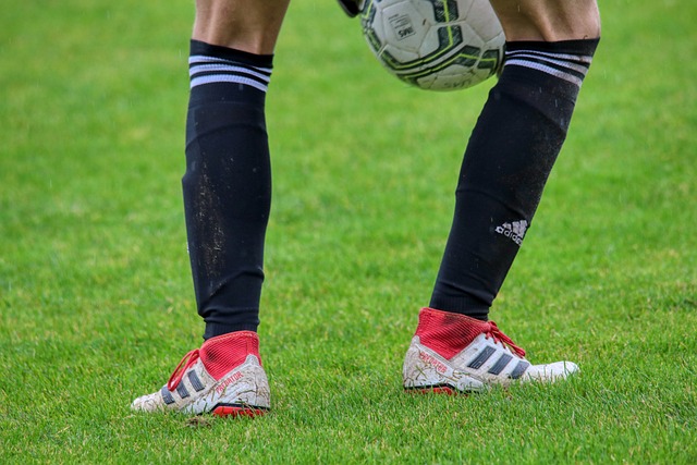 联盟内各党 联盟内各党