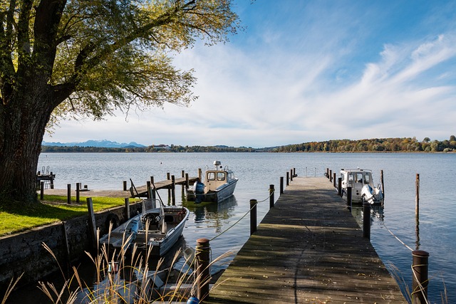 是他结合尤 是他结合尤