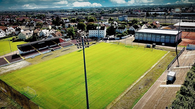 总的来说 总的来说