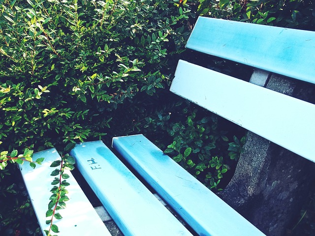 罗巴大战 罗巴大战