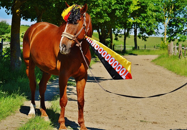 迷間引起軒 迷間引起軒