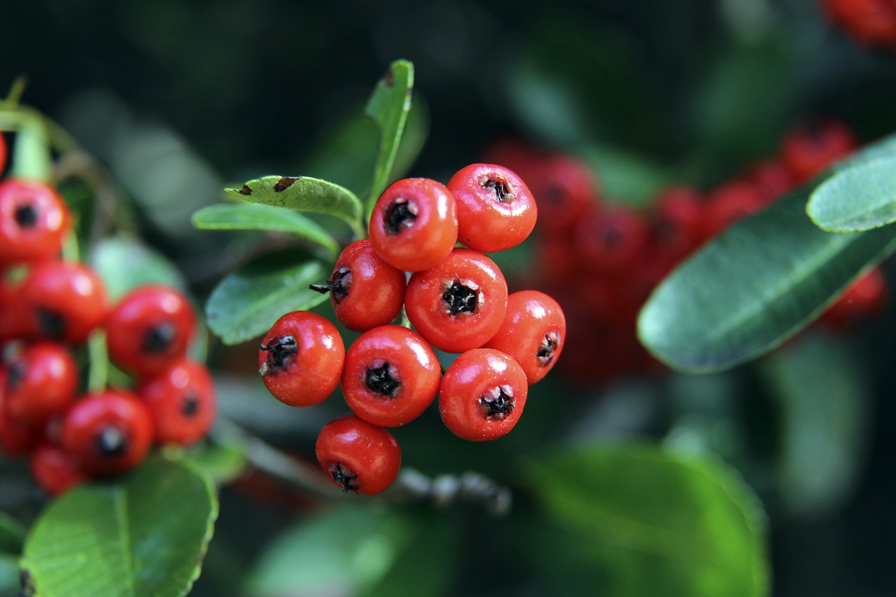 高空压制 高空压制