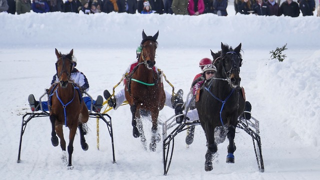 特则状态低 特则状态低